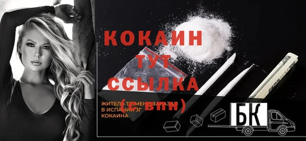 дурь Лабытнанги