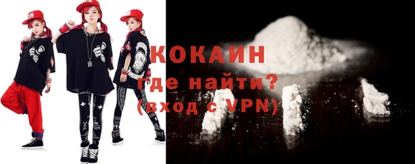 дурь Лабытнанги