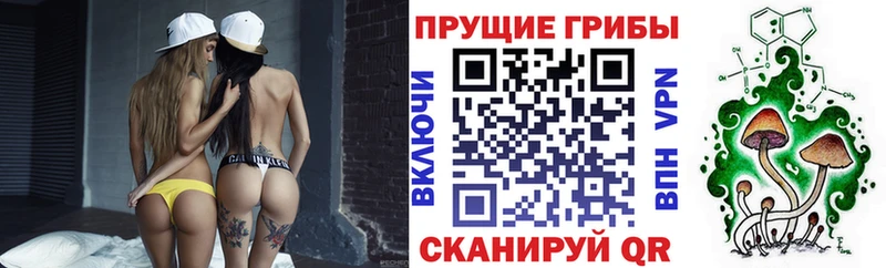 Псилоцибиновые грибы GOLDEN TEACHER  ссылка на мегу ссылки  Куртамыш 