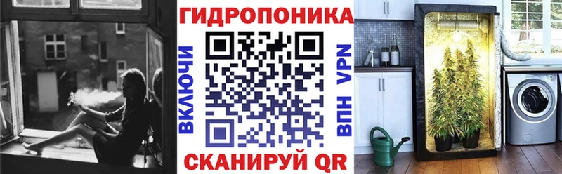 Бошки Шишки марихуана  Куртамыш 
